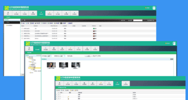 Customized Software Development
