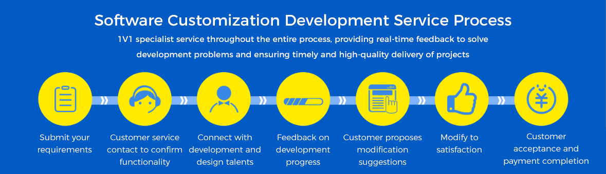Software Customization Development Service Process