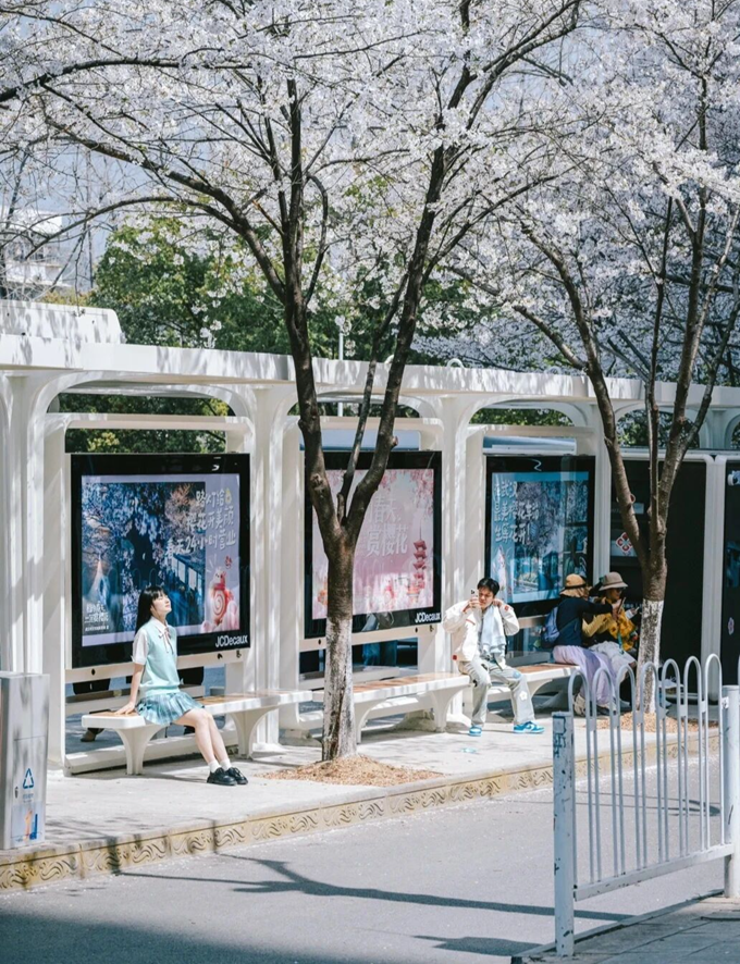 Una pensilina dell'autobus che cattura la primavera di Wuhan_3.png