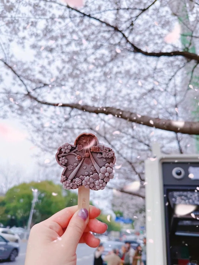 Una pensilina dell'autobus che cattura la primavera di Wuhan_4.jpg