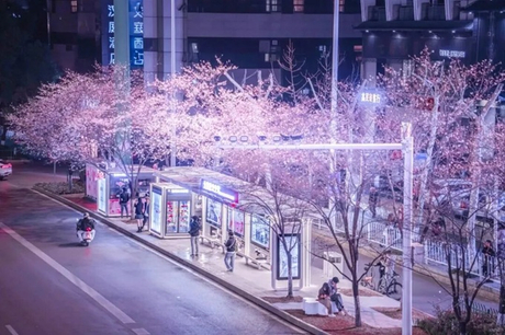 A Bus Shelter That Captures Wuhan’s Spring_8.jpg